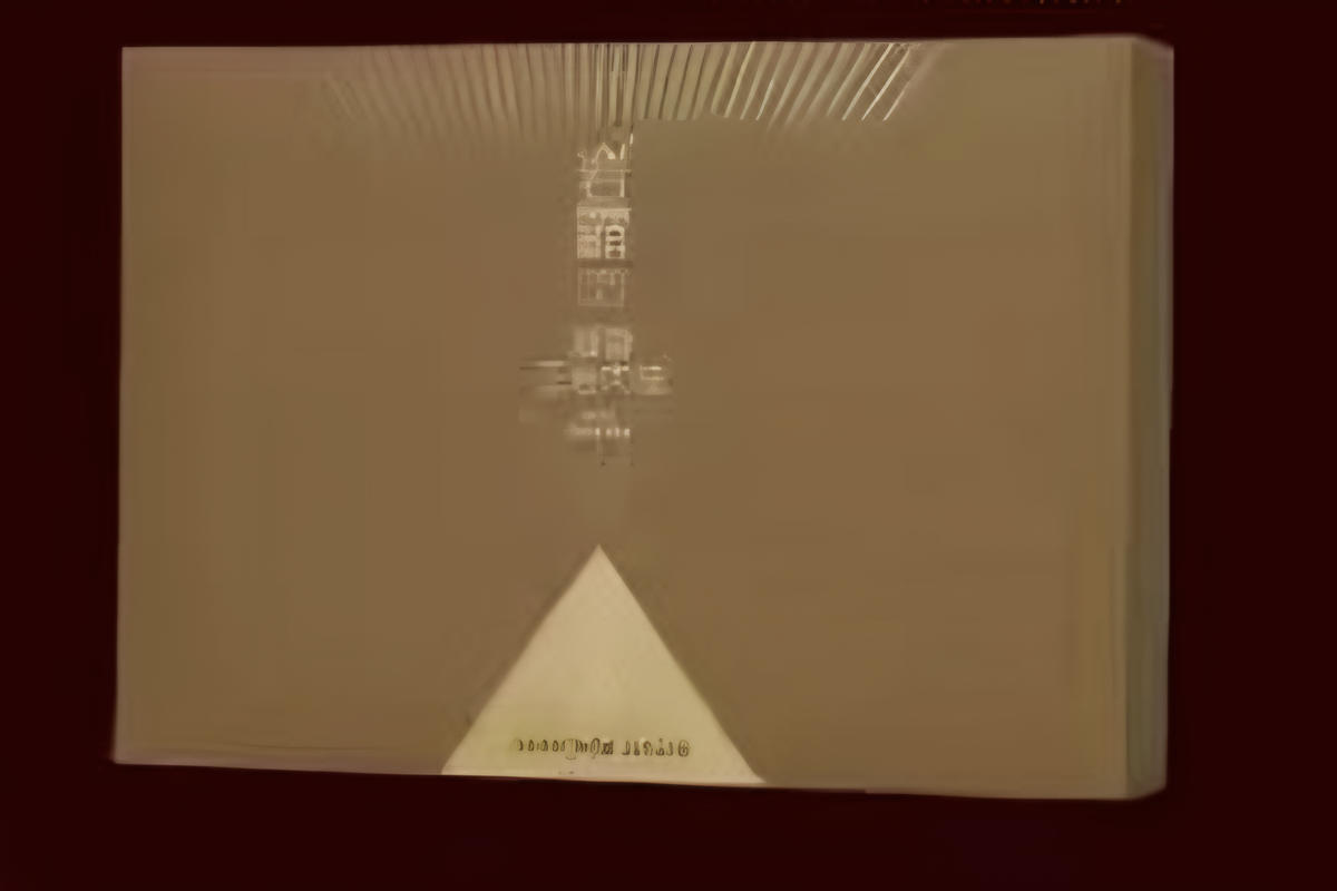 凝香正岩肉桂